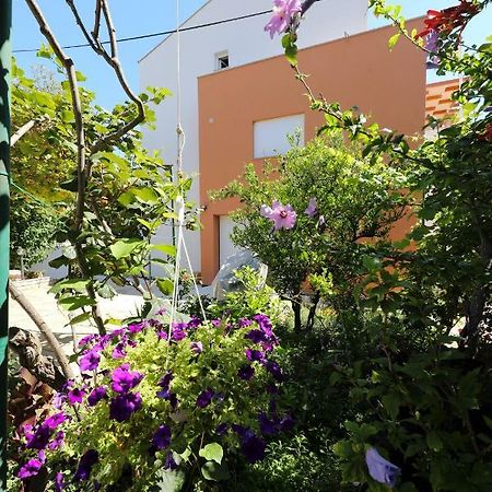 Apartments Ivanov Zadar Zewnętrze zdjęcie